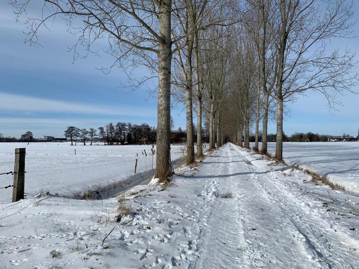 B&B Op3 Aarle-Rixtel Esterno foto